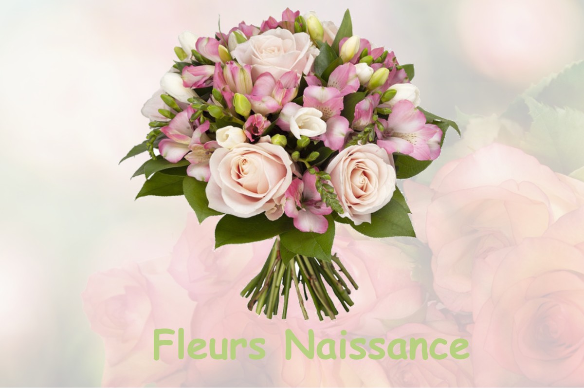 fleurs naissance BEHONNE