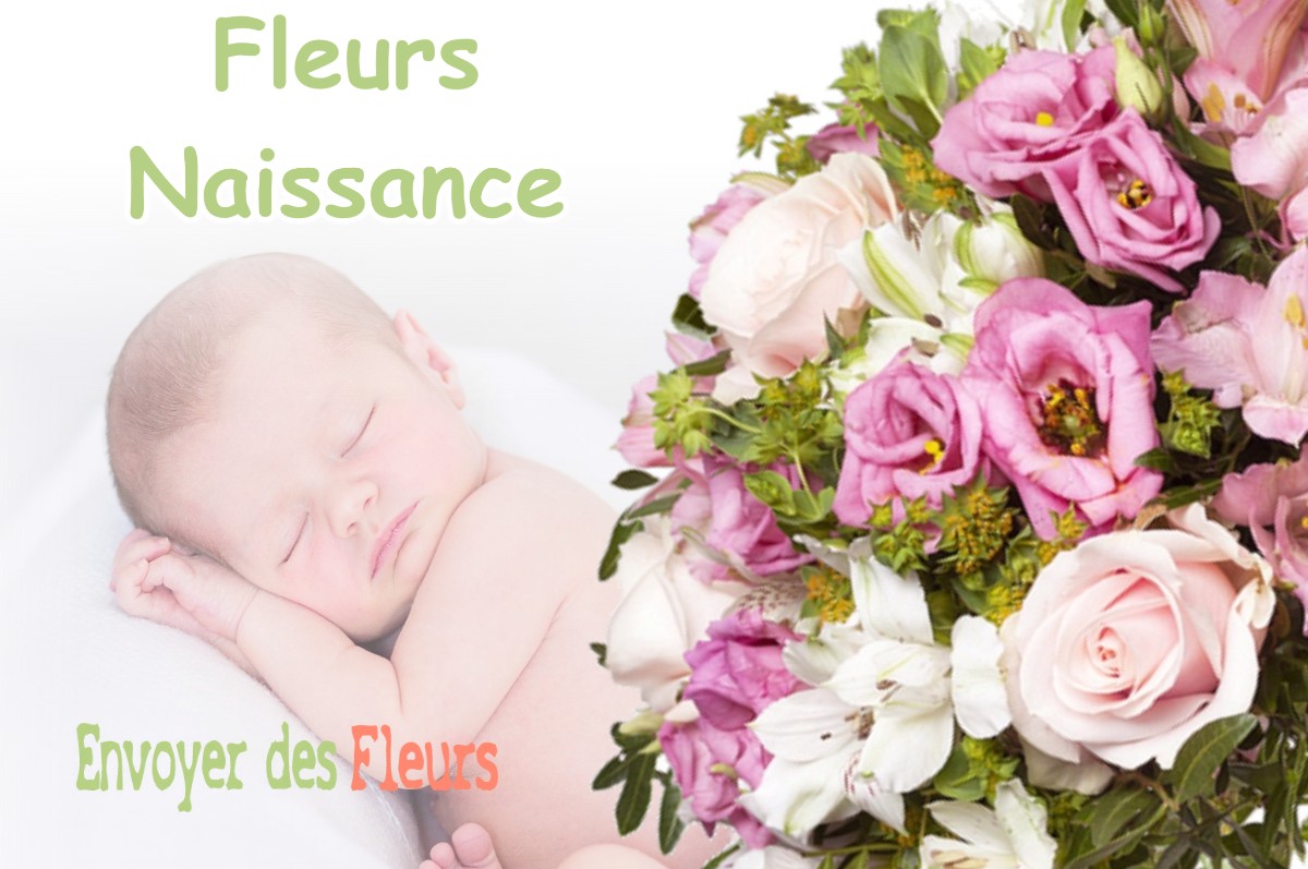 lIVRAISON FLEURS NAISSANCE à BEHONNE